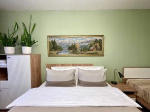 Квартира 2х комнатная в историческом центре