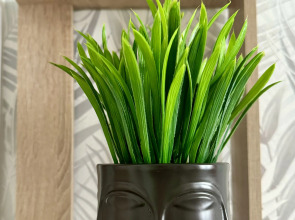 Квартира на проточной 10/1