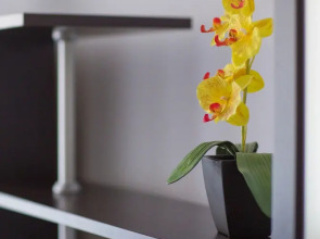 Гостиница Baikal Apartment