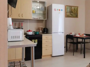 Квартира Эврика на Инициативной