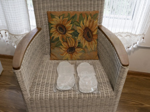 Гостевой Дом Золотой  Гусь