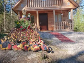 Частный дом Карелия