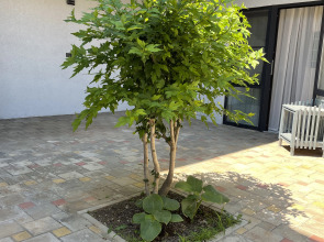 Гостевой дом Солнце