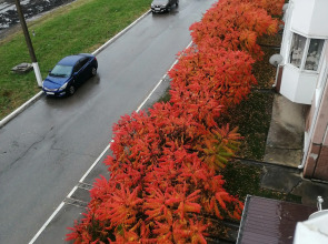 Апартаменты на Надежды 3