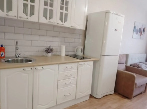 Квартира Студия Большая Подгорная 87