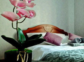 Квартира Двухместный эконом Pogostim