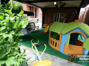 Отель Багира