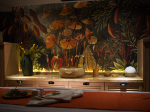 Отель Almira Thermal Spa & Convention Center