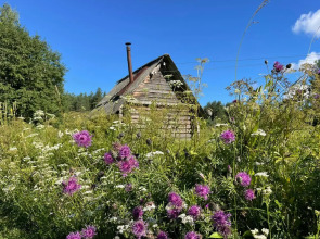 Домик в Русском Стиле