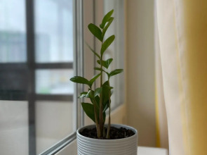 Квартира Уютная Просторная