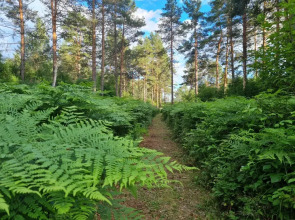Апартаменты Валдай Пространство мечты 1