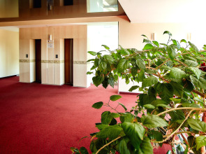 Отель Волна