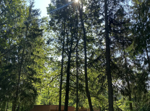 Отель Ruza Forest