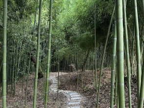 База отдыха Flora Place