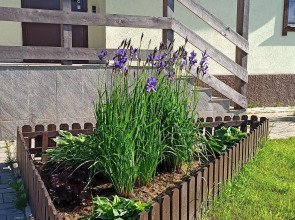 Гостевой дом Барский