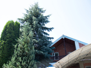 База отдыха Архыз Триумф