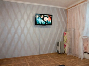 Двухкомнатные апартаменты у ДК Металлургов. Барбарис