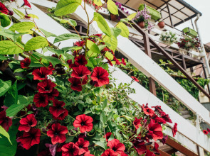 Гостевой дом Домик у Моря