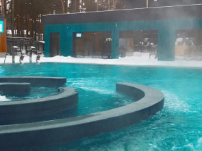 Отель Лесники