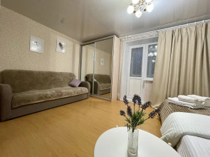 Апартаменты Созвездие Камчатки с Видом на Мишенную Сопку