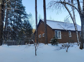 Коттедж с баней в сосновом бору у озера, рядом с турбазой Чайка