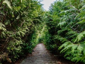 Гостевой дом Отрада