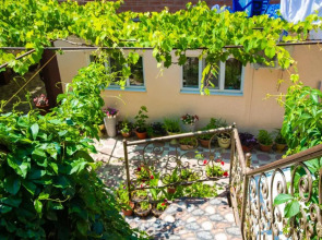 Гостевой дом Аленка