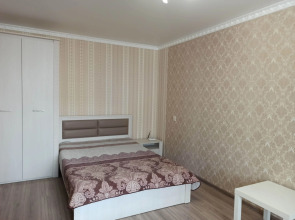 Апартаменты Светлые в Центре Харьковской Горы