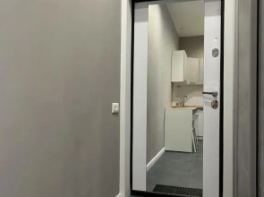 Апартаменты Stepanenkov на Воеводина 4 (3)