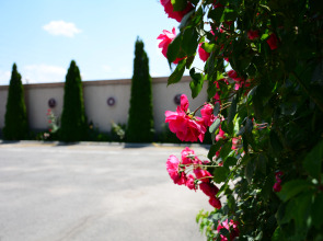 Гостевой дом Artsakh
