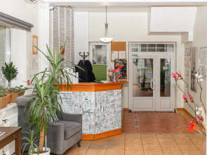 Отель Дом Ученых Долгопрудный