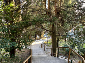 Апартаменты Светлана