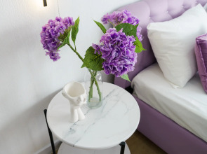 Квартира на 24 этаже с панорамным видом на две реки