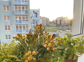 Квартира Морской курорт