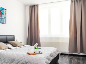 Квартира Апартаменты Центральный Стадион Центр