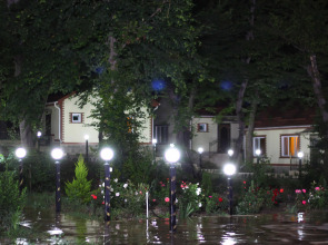 Отель Selena Resort