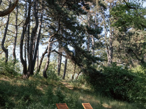 Глэмпинг Викингуд