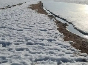 Гостевой дом с сауной вблизи реки и озера Ладоги Лисий берег