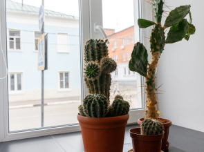 Апартаменты на Яна Грунта 1 -4/1