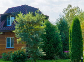 База отдыха Вольские Дачи