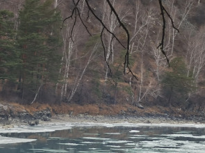 Гостевой дом Тишина Алтая