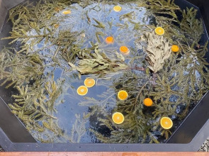 База Отдыха Светлячок Увильды