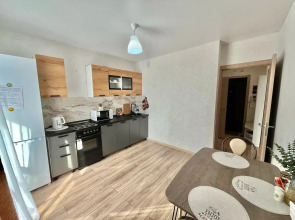 Квартира Уютная однокомнатная ЖК Озерки