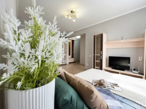 Апартаменты Bragin Hill