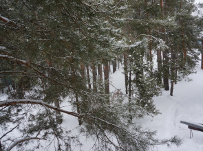 База Отдыха Черкасский Затон