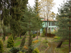 Отель Парк Отель Forest Relax