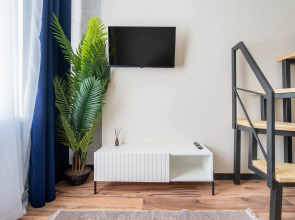 Квартира Студия на Петроградской Cтороне