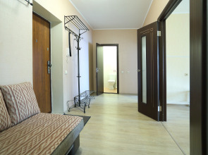 Апартаменты Flat-all 61 Kropotkina