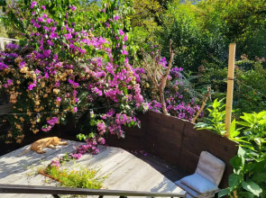 Гостевой дом Макс