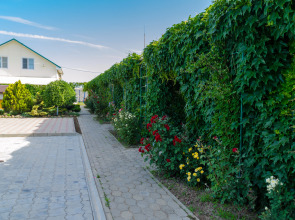 Гостевой Дом Гелиос